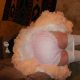 diaper sissy